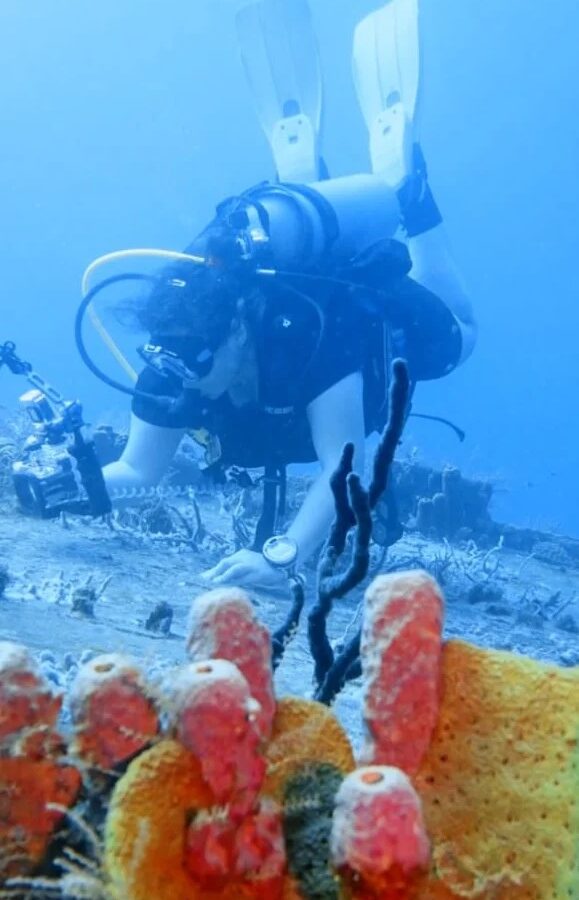 Buceo Acuario