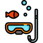 buceo personalizado