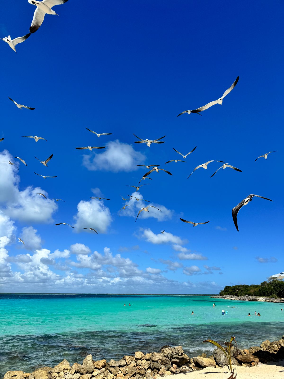 isla saona, republica dominicana